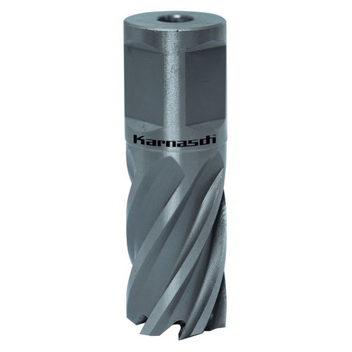 Produktbild für SILVER-LINE 25 Weldon, Ø 31 mm