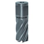 Produktbild für SILVER-LINE 25 Weldon, Ø 20 mm
